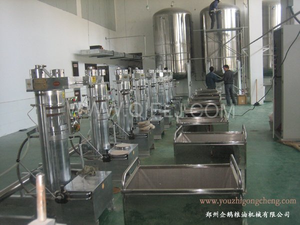 核桃油提取設(shè)備 企鵝牌核桃油設(shè)備 質(zhì)優(yōu)價(jià)好！(圖2)