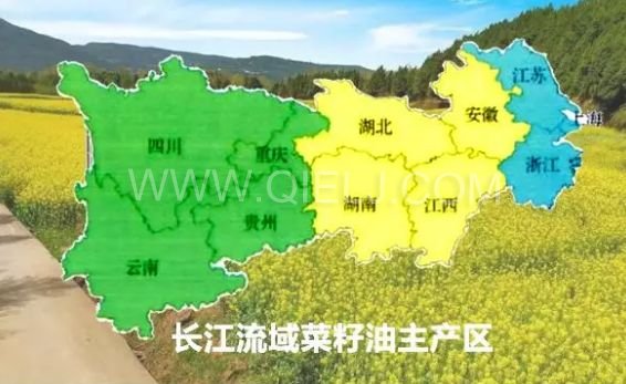 濃香菜籽油成套設(shè)備，企鵝糧油機(jī)械品質(zhì)出眾(圖1)