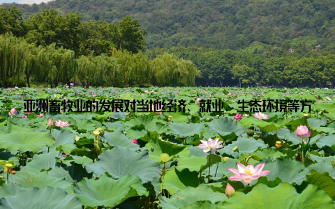 亚洲畜牧业的发展对当地经济、就业、生态环境等方面产生了深远影响 欧洲欧洲畜牧业以养殖牛、羊、猪、禽类为主, 这些国家拥有先进的畜牧业技术和设备, 畜牧业产值较高