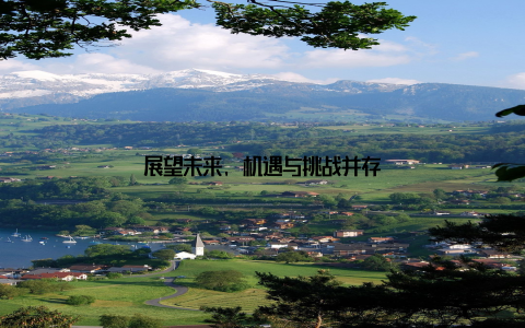 展望未来, 机遇与挑战并存