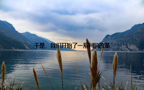 于是, 我们开始了一系列的改革
