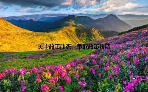 关注政策动态, 争取政策扶持