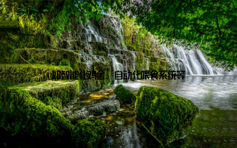 如智能化鸡舍、自动化喂食系统等