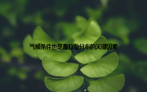 气候条件也是畜牧业分布的关键因素