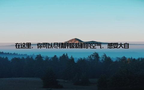 在这里, 你可以尽情呼吸新鲜的空气, 感受大自然的美好 浓厚学术氛围中国畜牧兽医专业学校拥有一支高素质的师资队伍, 他们潜心教学, 致力于培养高素质的畜牧兽医专业人才