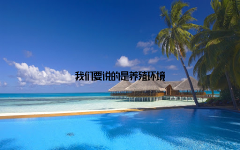我们要说的是养殖环境