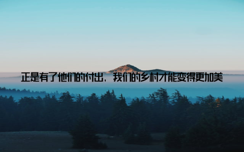 正是有了他们的付出, 我们的乡村才能变得更加美丽、更加宜居 五、携手共进, 谱写乡村振兴新篇展望未来, 全省畜牧兽医工作将继续深化改革, 创新驱动, 为乡村振兴战略的实施提供更加坚实的保障