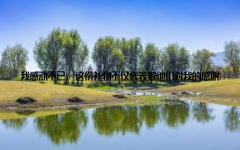 我感动不已, 这份礼物不仅代表着他们对我的感谢, 更是对中慧畜牧网的信任回到城市, 我时常想起那片美丽的乡村和那些热情的村民们