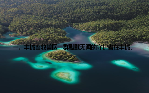 一、丰城畜牧兽医一群默默无闻的守护者在丰城, 有这样一群人, 他们头顶烈日, 跋山涉水, 只为守护动物健康