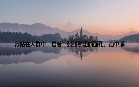 我站在人群中, 看着一张张熟悉的面孔, 心中涌动着一种莫名的感动年会伊始, 主办方隆重介绍了本次会议的主题共话发展新篇章