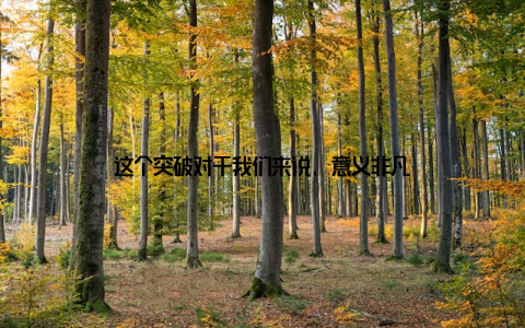这个突破对于我们来说, 意义非凡