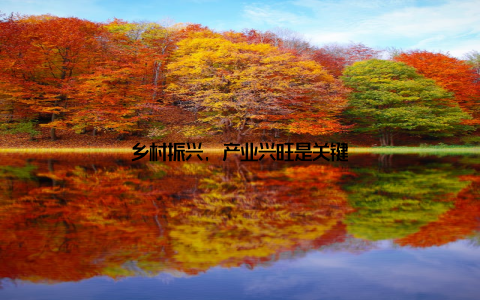 乡村振兴, 产业兴旺是关键