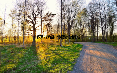 这些观点让我深受启发