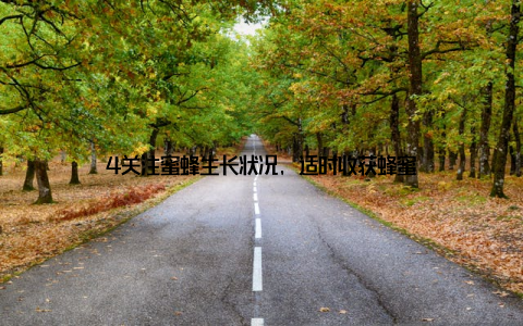 4关注蜜蜂生长状况, 适时收获蜂蜜