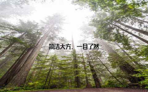 简洁大方, 一目了然