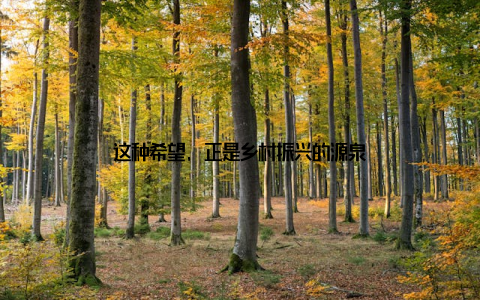 这种希望, 正是乡村振兴的源泉