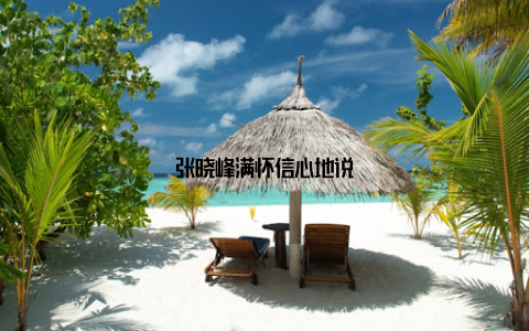 张晓峰满怀信心地说