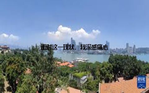 面对这一现状, 我深感痛心
