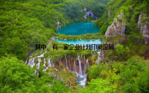 其中, 有一家企业让我印象深刻