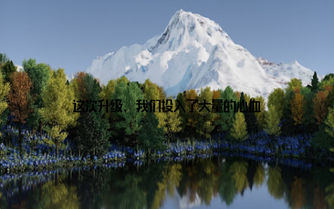 这次升级, 我们投入了大量的心血