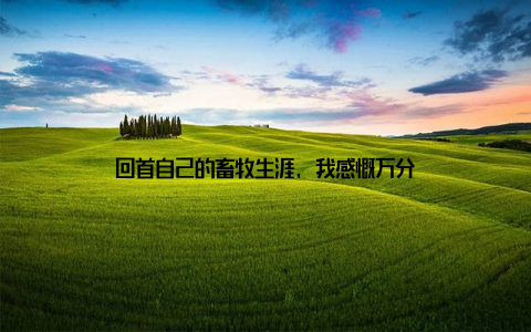 回首自己的畜牧生涯, 我感慨万分