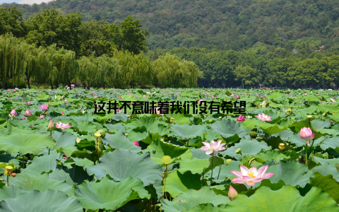 这并不意味着我们没有希望