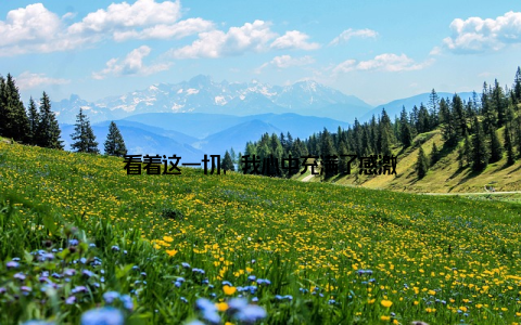 看着这一切, 我心中充满了感激