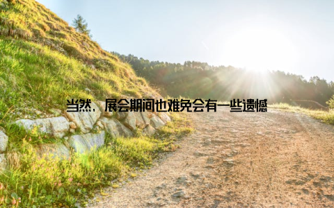 当然, 展会期间也难免会有一些遗憾