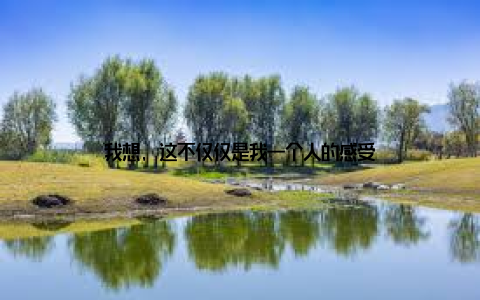 我想, 这不仅仅是我一个人的感受