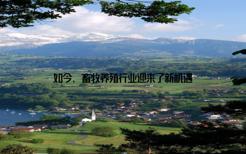 如今, 畜牧养殖行业迎来了新机遇