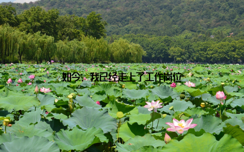 如今, 我已经走上了工作岗位