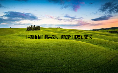 牲畜们和谐共处, 萌宠们快乐成长