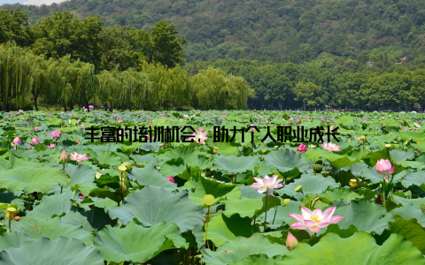 丰富的培训机会, 助力个人职业成长