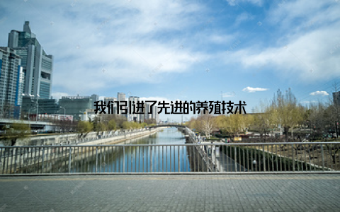 我们引进了先进的养殖技术