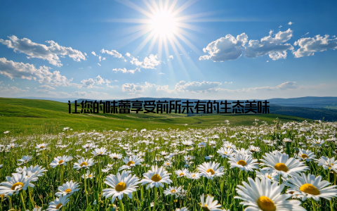 让您的味蕾享受前所未有的生态美味
