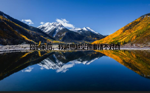 回到家后, 我越想越觉得事情不对劲