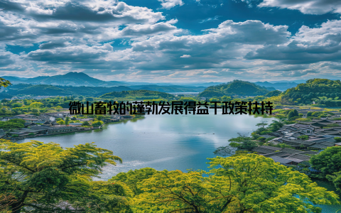 微山畜牧的蓬勃发展得益于政策扶持