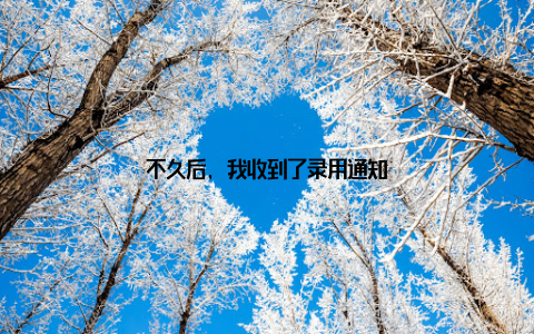 不久后, 我收到了录用通知