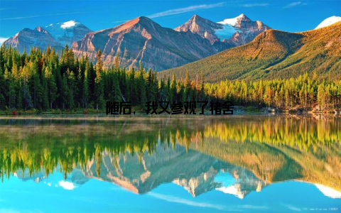 随后, 我又参观了猪舍