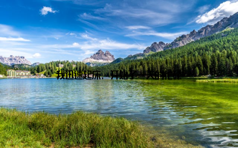 我迅速起床, 开始了一天的忙碌