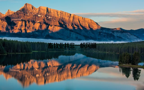 畜牧业并非一帆风顺