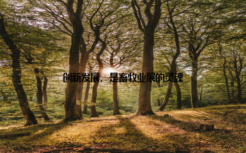 创新发展, 是畜牧业展的灵魂