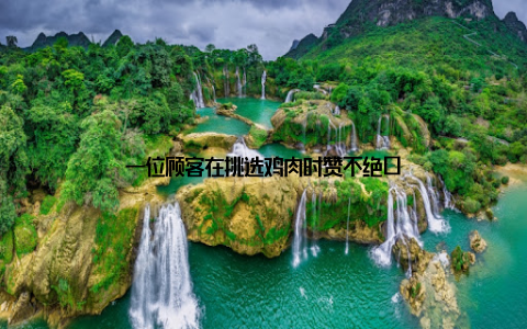 一位顾客在挑选鸡肉时赞不绝口