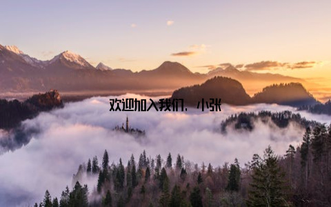 欢迎加入我们, 小张