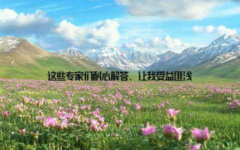 这些专家们耐心解答, 让我受益匪浅