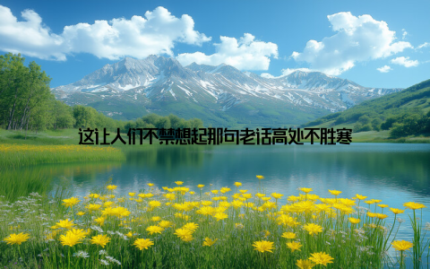 这让人们不禁想起那句老话高处不胜寒