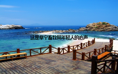 这是阜宁畜牧局年轻人的心声