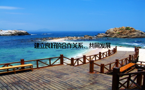 建立良好的合作关系, 共同发展