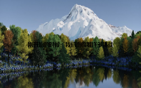 刚开始的时候, 我们面临着许多挑战