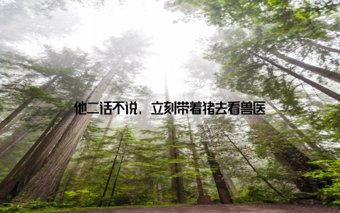 他二话不说, 立刻带着猪去看兽医